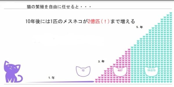 猫の増え方