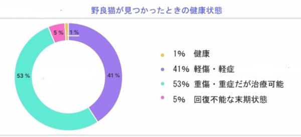 野良猫の健康状態